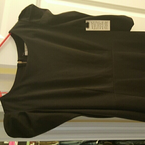 BB Dakota puff sleeve dress with back zipper