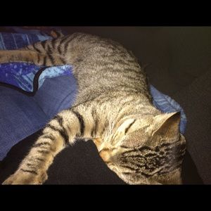 Meet your Posher, Tracy