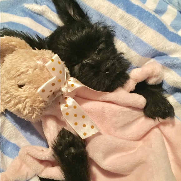 Meet your Posher, Maximina - Picture 4 of 4