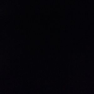 Meet your Posher, Shaniqua