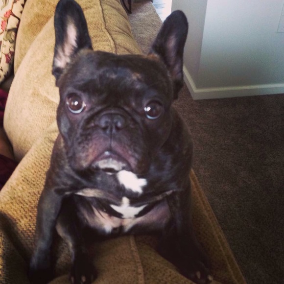 Hello I'm Jennifer and love Posh! - Picture 3 of 3