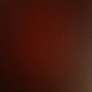 Meet your Posher, Trina