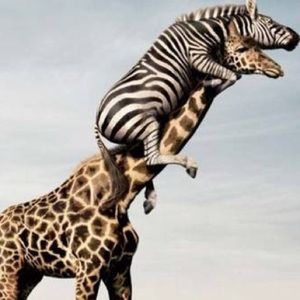 Meet your Posher, Arthur