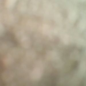 Meet your Posher, Ariel