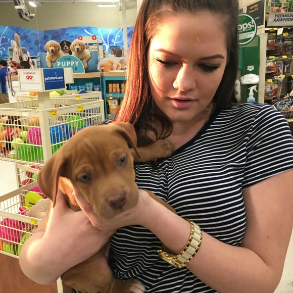 gold and cream watch - Picture 3 of 3