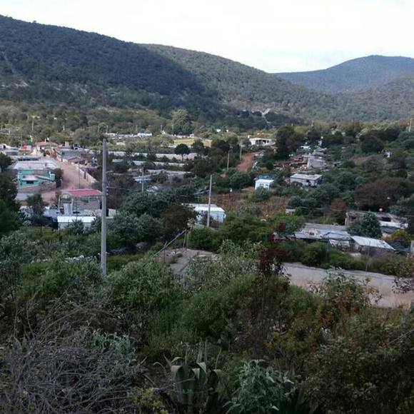 Meet your Posher, Micaela - Picture 1 of 1