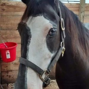 Meet your Posher, Leah