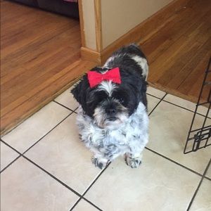 Meet your Posher, Barbara