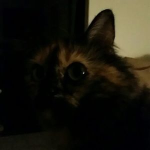 Meet your Posher, Cindy