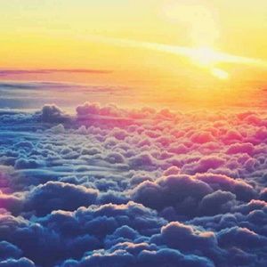 Meet your Posher, Tamika