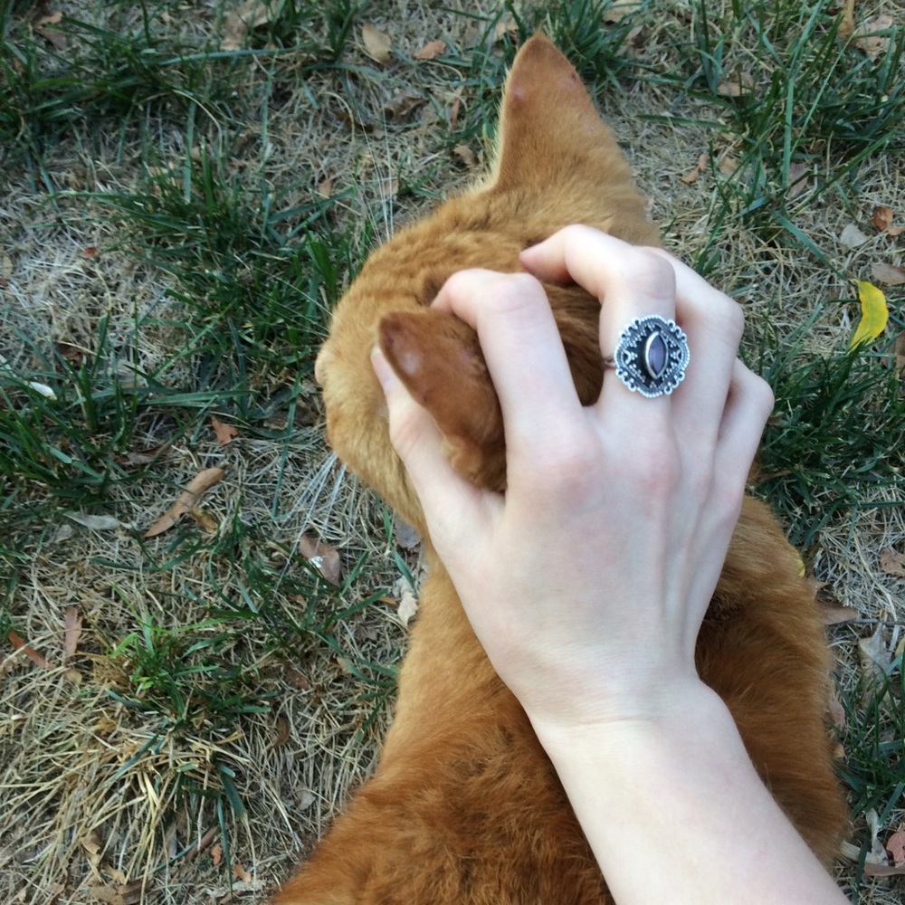 Meet your Posher, Chloe