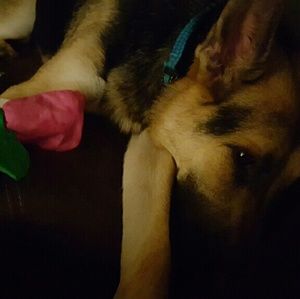 Meet your Posher, Teresa