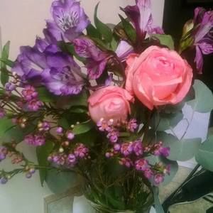 Meet your Posher, Tammy