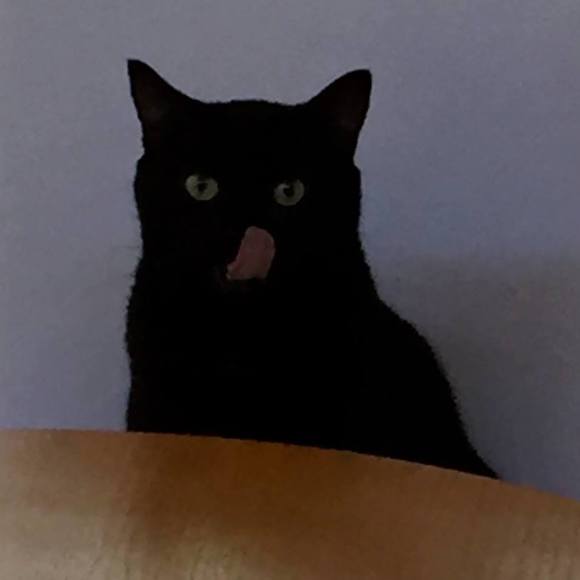 Meet your Posher, Kami