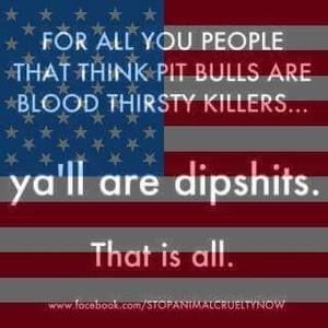 Meet your Posher, Sandy