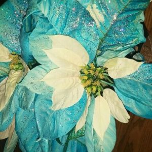 Meet your Posher, Lacey