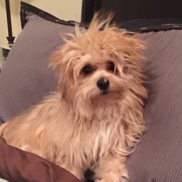 Mommy said I needed a blow dry...she also said...