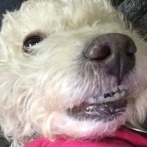 RESERVED BUNDLE TRADE FOR FAFA123 ❤️