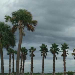 Meet your Posher, Ruth