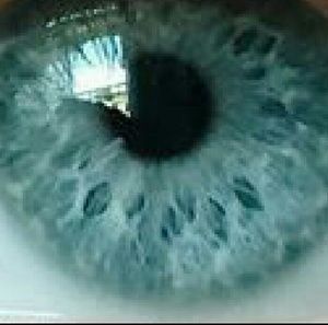 Meet your Posher, Dakota