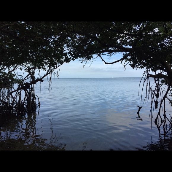 Meet your Posher, Suzanna - Picture 2 of 4