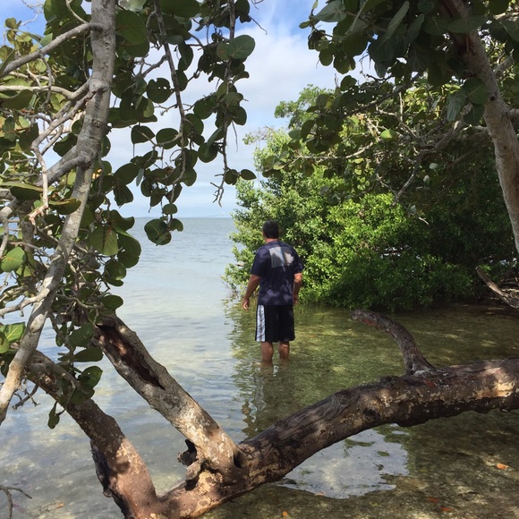 Meet your Posher, Suzanna - Picture 3 of 4