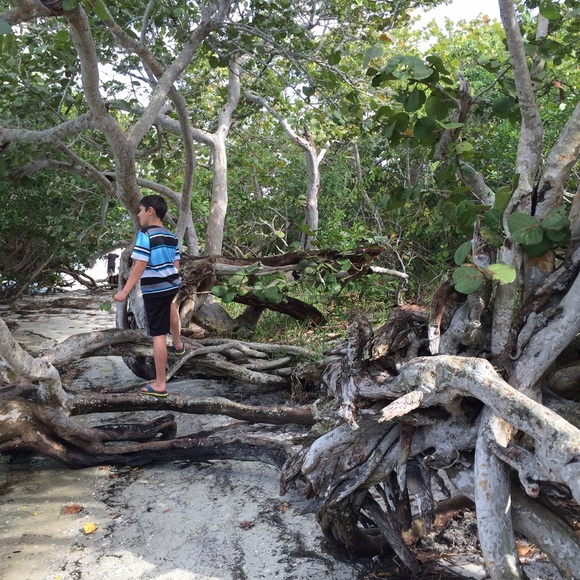 Meet your Posher, Suzanna - Picture 4 of 4