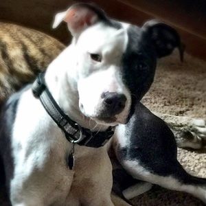 Meet your Posher, Heidi