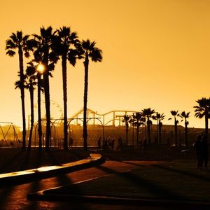 Meet your Posher, Blair