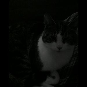 Meet your Posher, Lynn