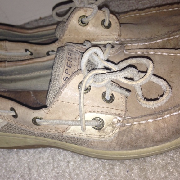 sperry beige