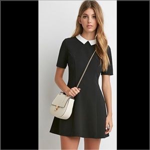 White collar black mini dress