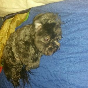 Meet your Posher, Jewel