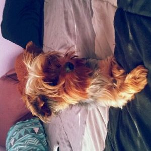 Meet your Posher, Tegan