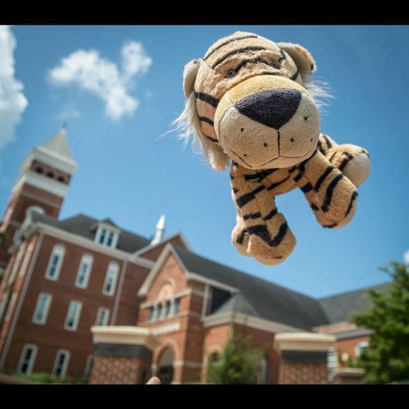 Meet your Posher, Rebecca - Picture 6 of 6