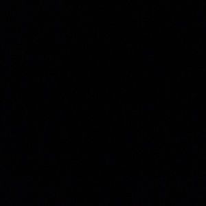 Meet your Posher, Liz