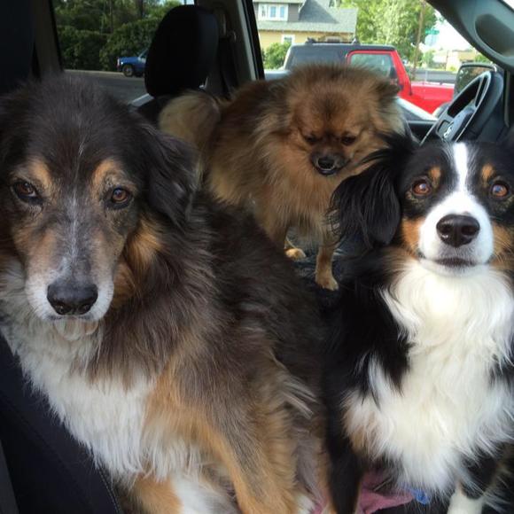 Meet your Posher, Joslin