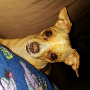 Meet your Posher, Nancy