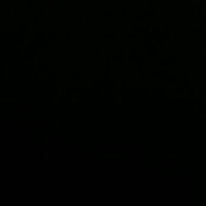 Meet your Posher, Ceccilia