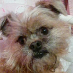 Meet your Posher, Ginny