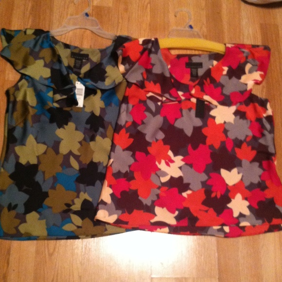 2 new blouses