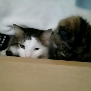 Meet your Posher, Victoria