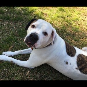 Meet your Posher, Brittney