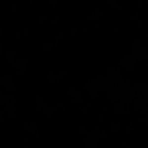 Meet your Posher, Nicky