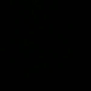 Meet your Posher, Rae