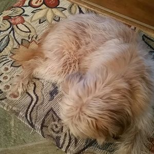 Meet your Posher, Sandina