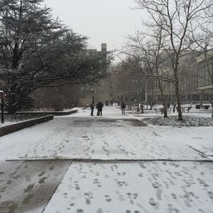 Meet your Posher, Paola