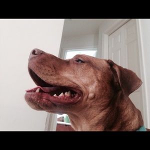 Meet your Posher, Corinne