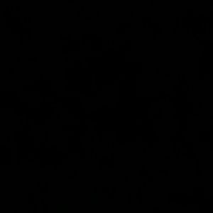 Meet your Posher, Tamika