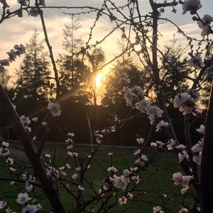 Meet your Posher, Griselda